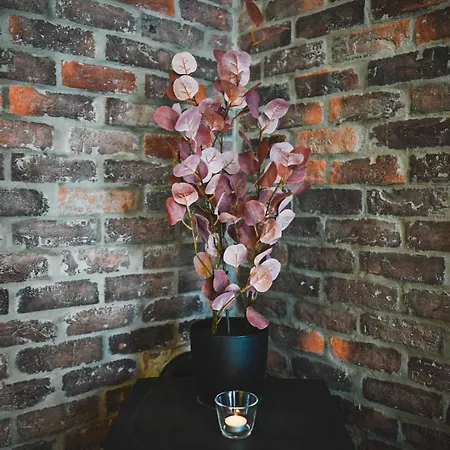 Moderne Ved Solsiden I Trondheim